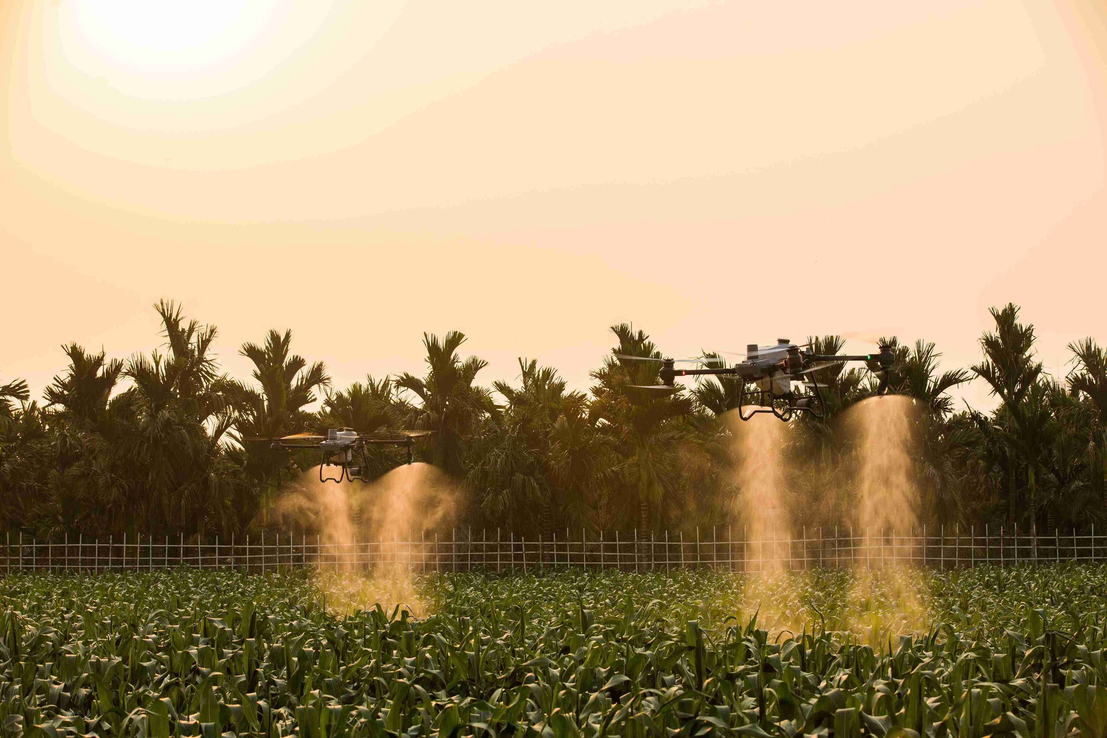 Apa Itu Drone Sprayer?