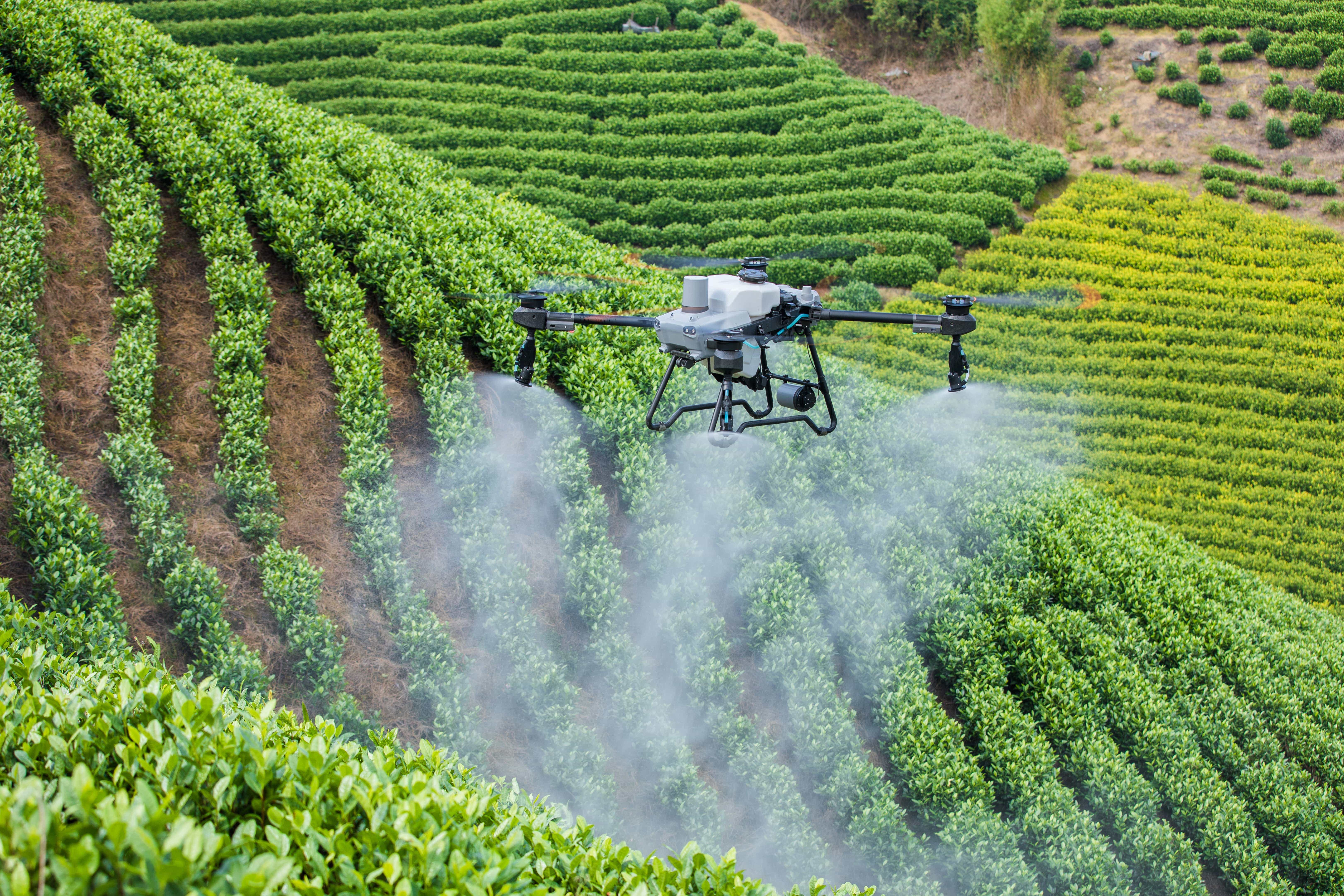 Desain Drone Pertanian DJI Agras T25 Stabil dan Kompak