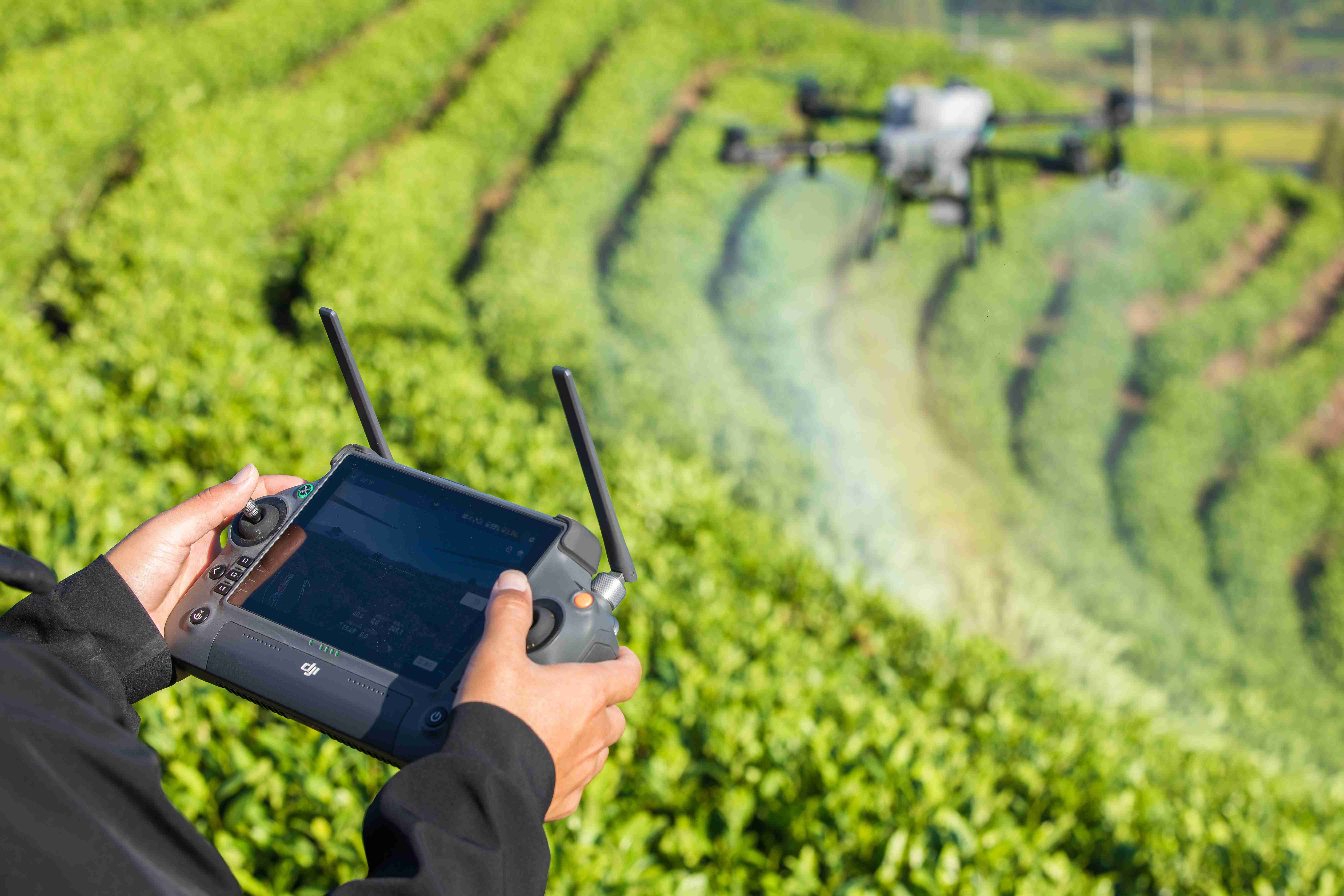 Drone Spraying dan Spreading