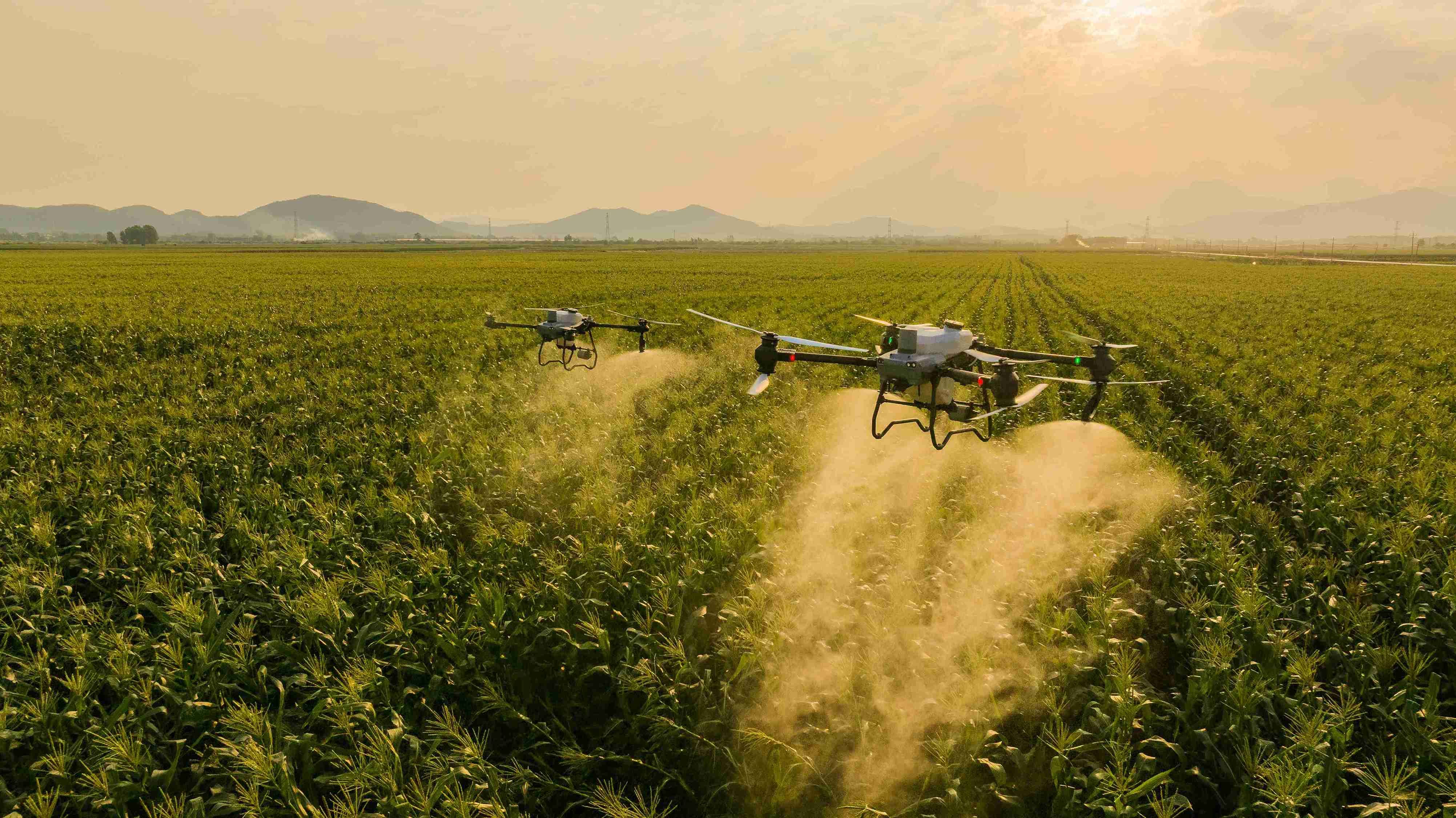 Drone vs Traktor: Perbandingan di Lapangan