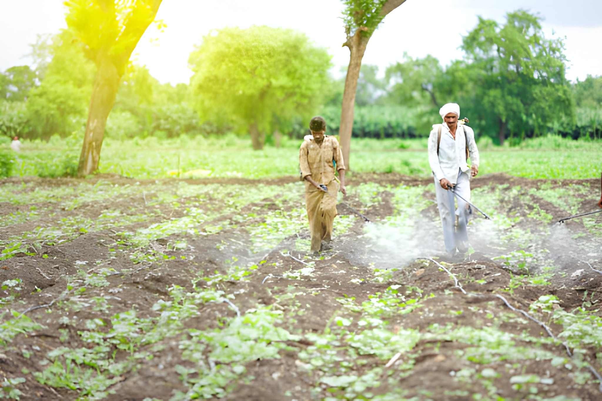 Gunakan Alat Pelindung Diri yang Sesuai