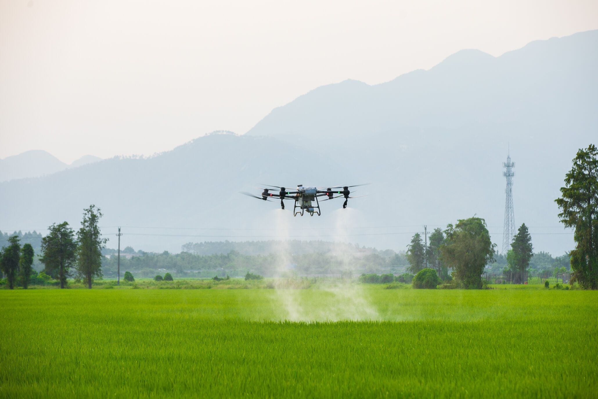 gunakan drone sprayer dji agras
