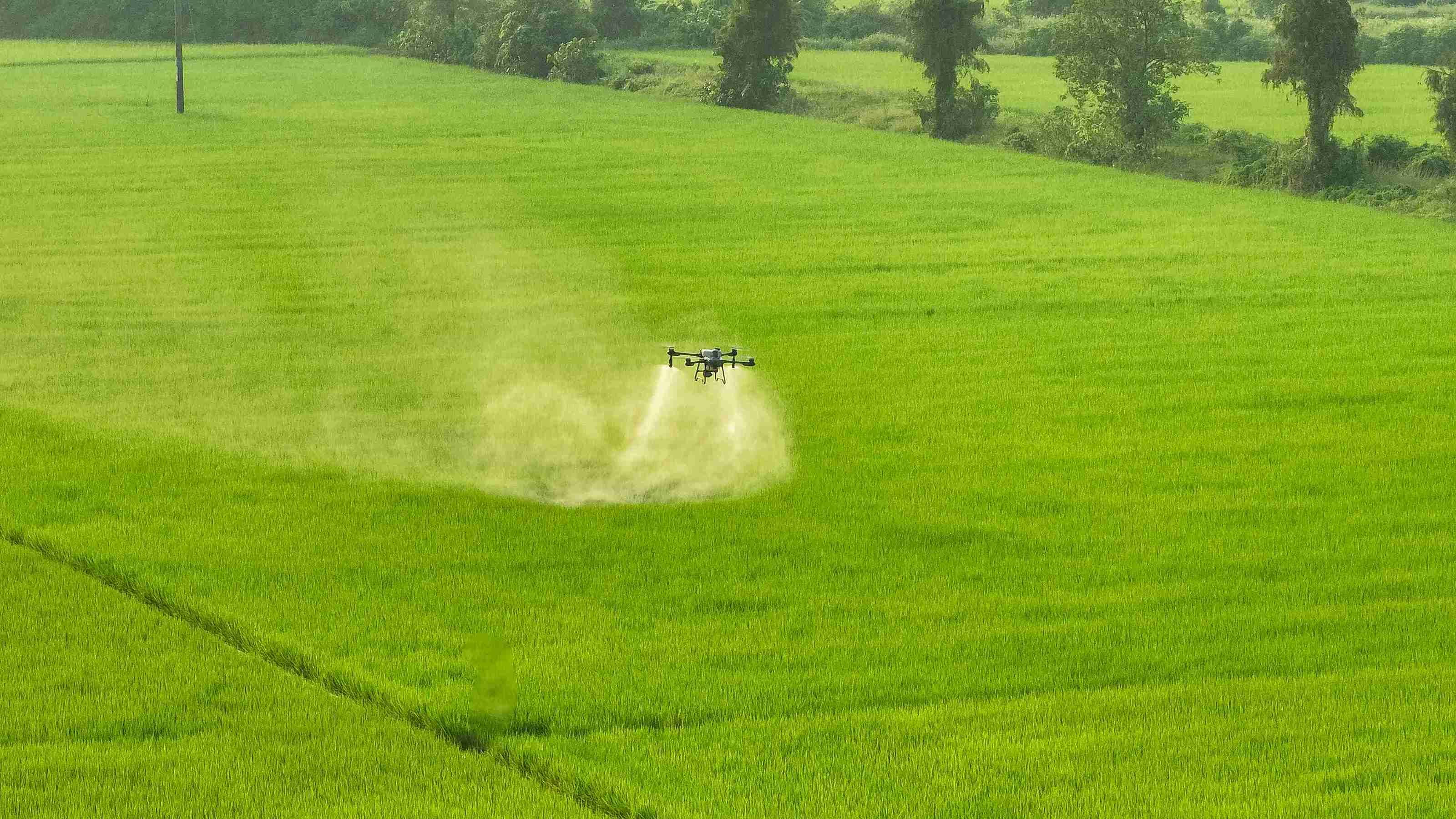 Jenis Drone Pertanian yang Umum Digunakan