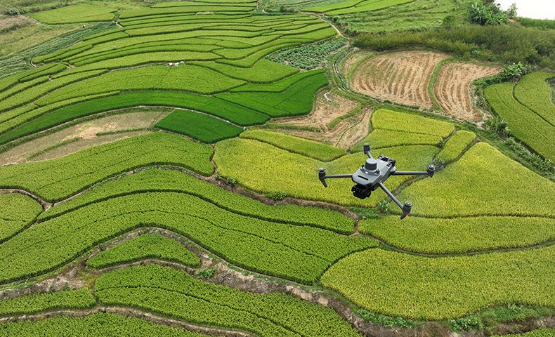 Kegunaan Fitur Drone Multispectral