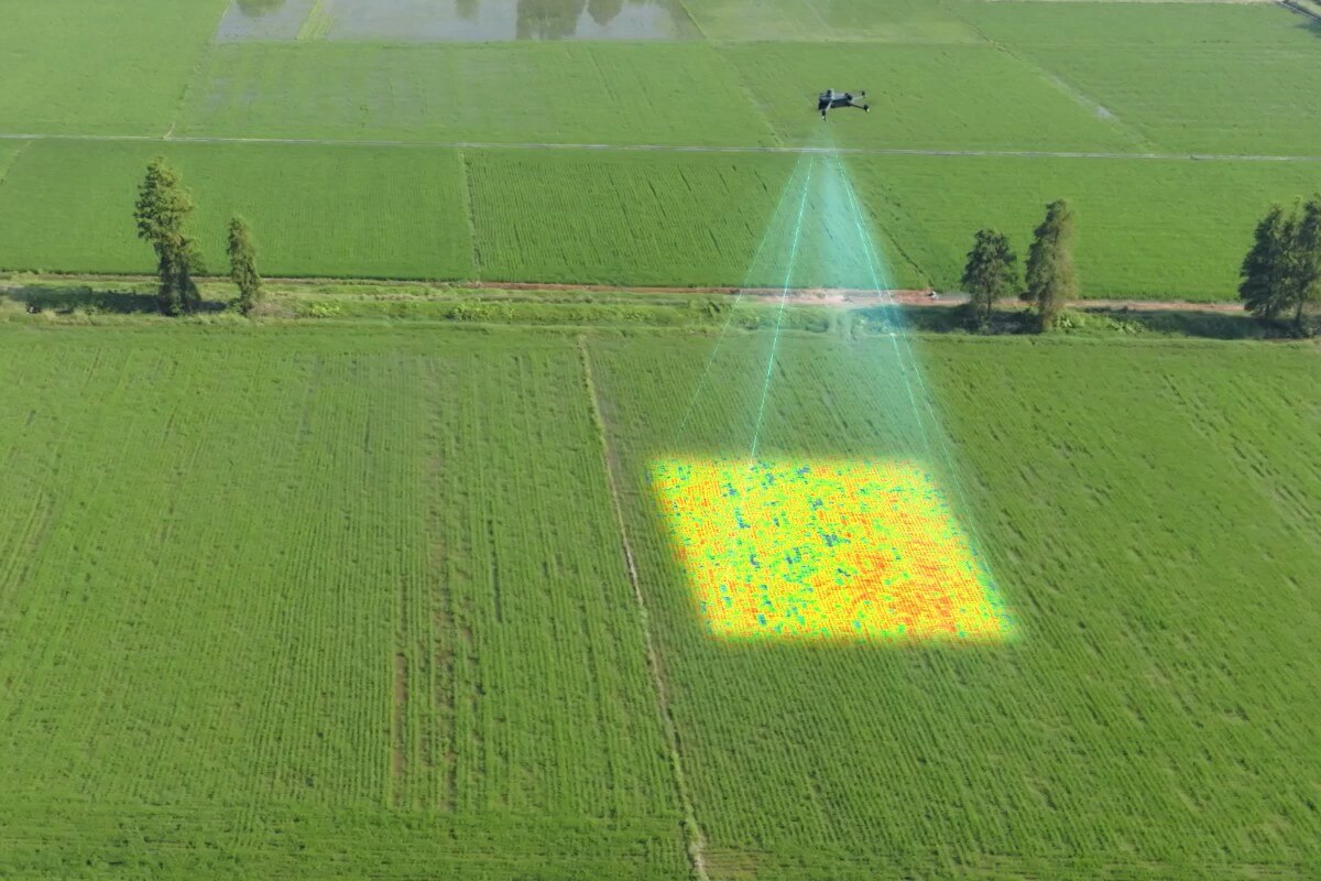 Keunggulan DJI Mavic 3 Multispectral