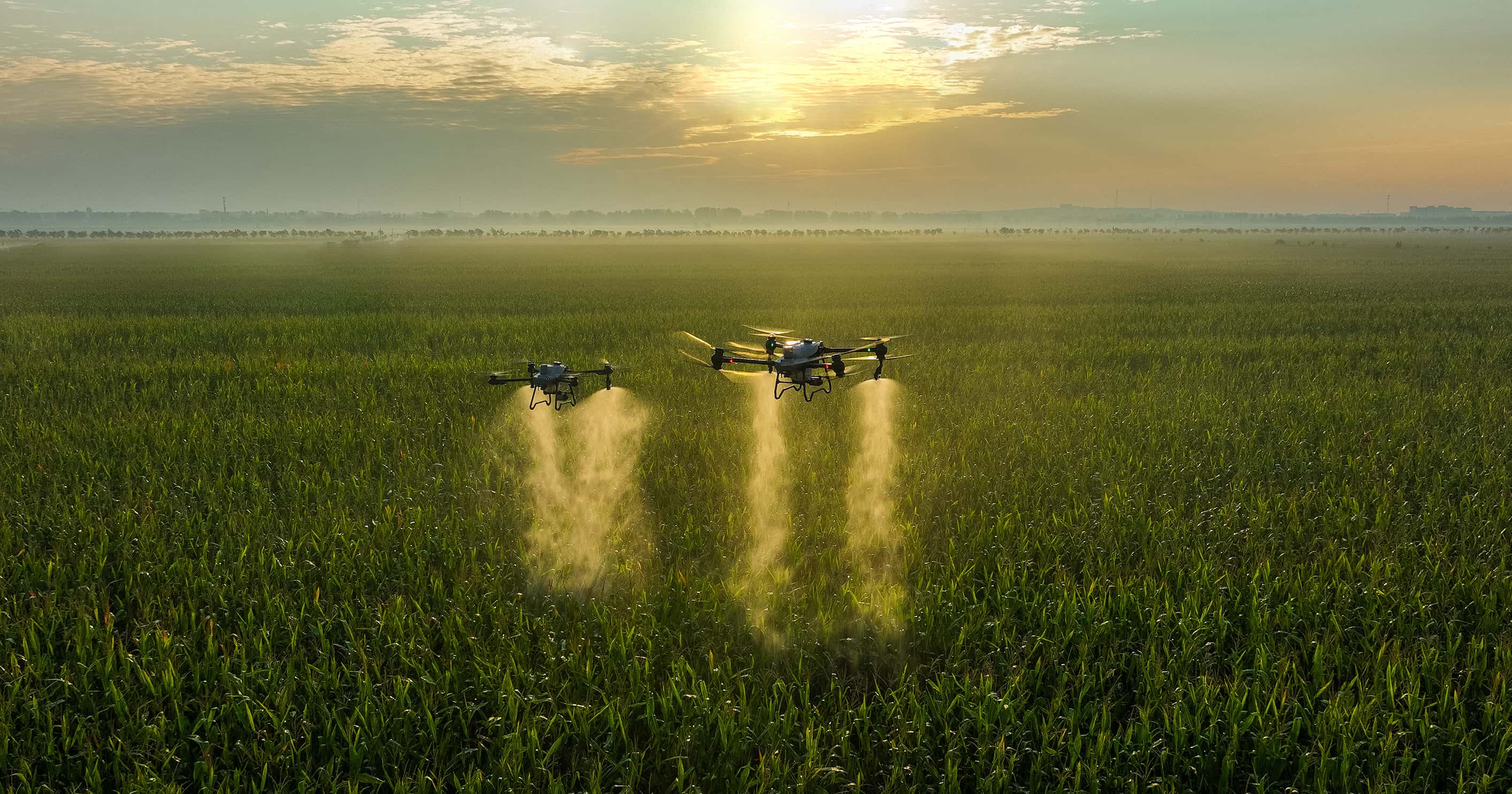 Rekomendasi Drone untuk Pertanian