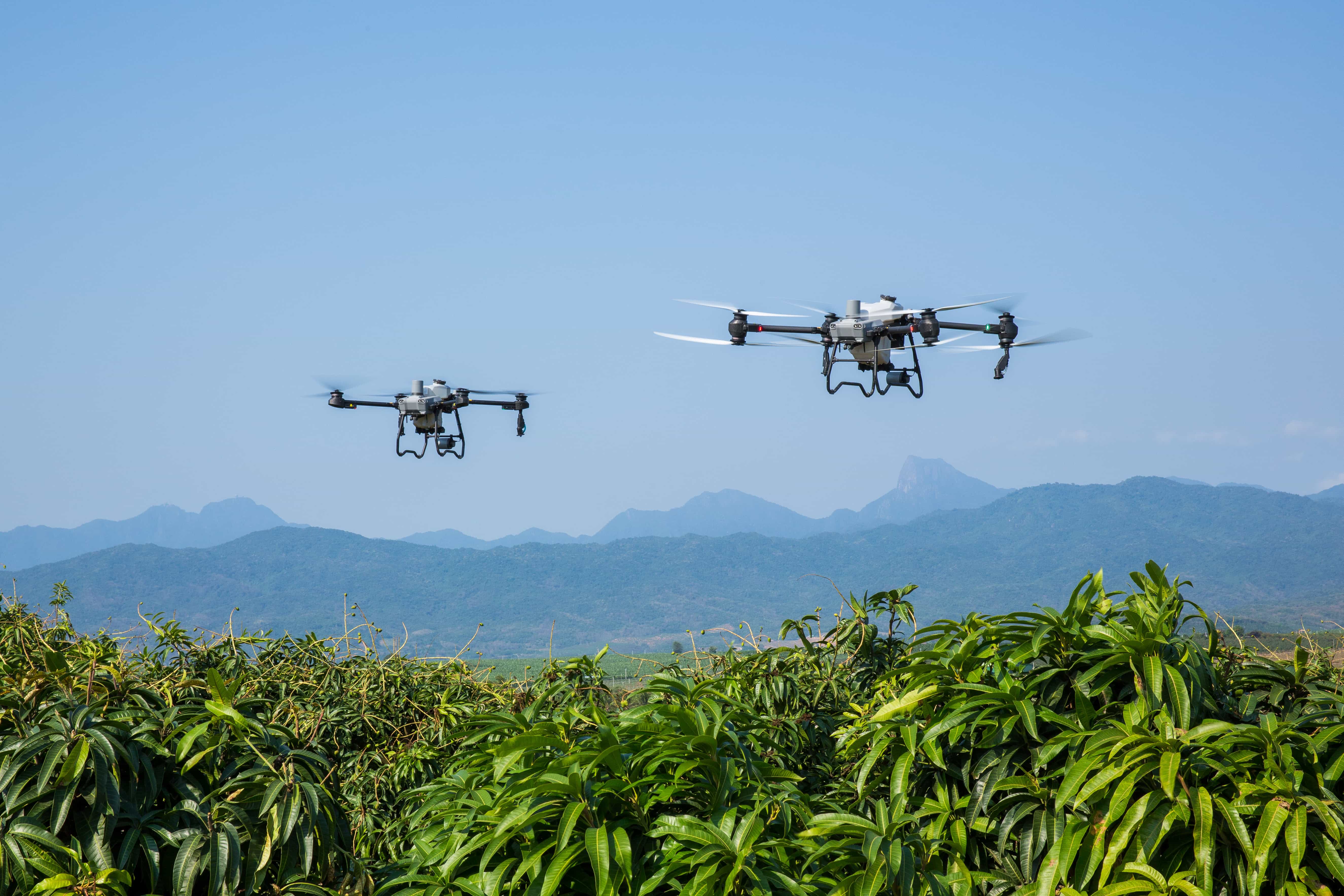 Siapa yang Cocok Menggunakan Drone Sprayer
