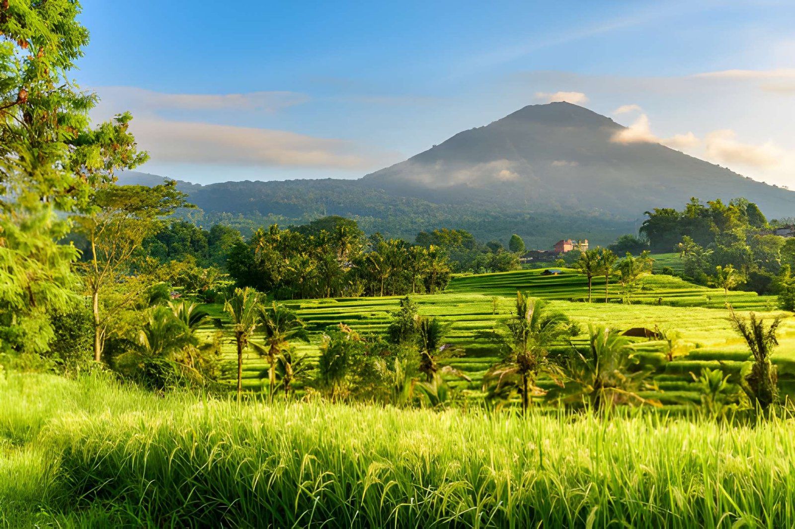 Tantangan Pengelolaan Lahan di Indonesia