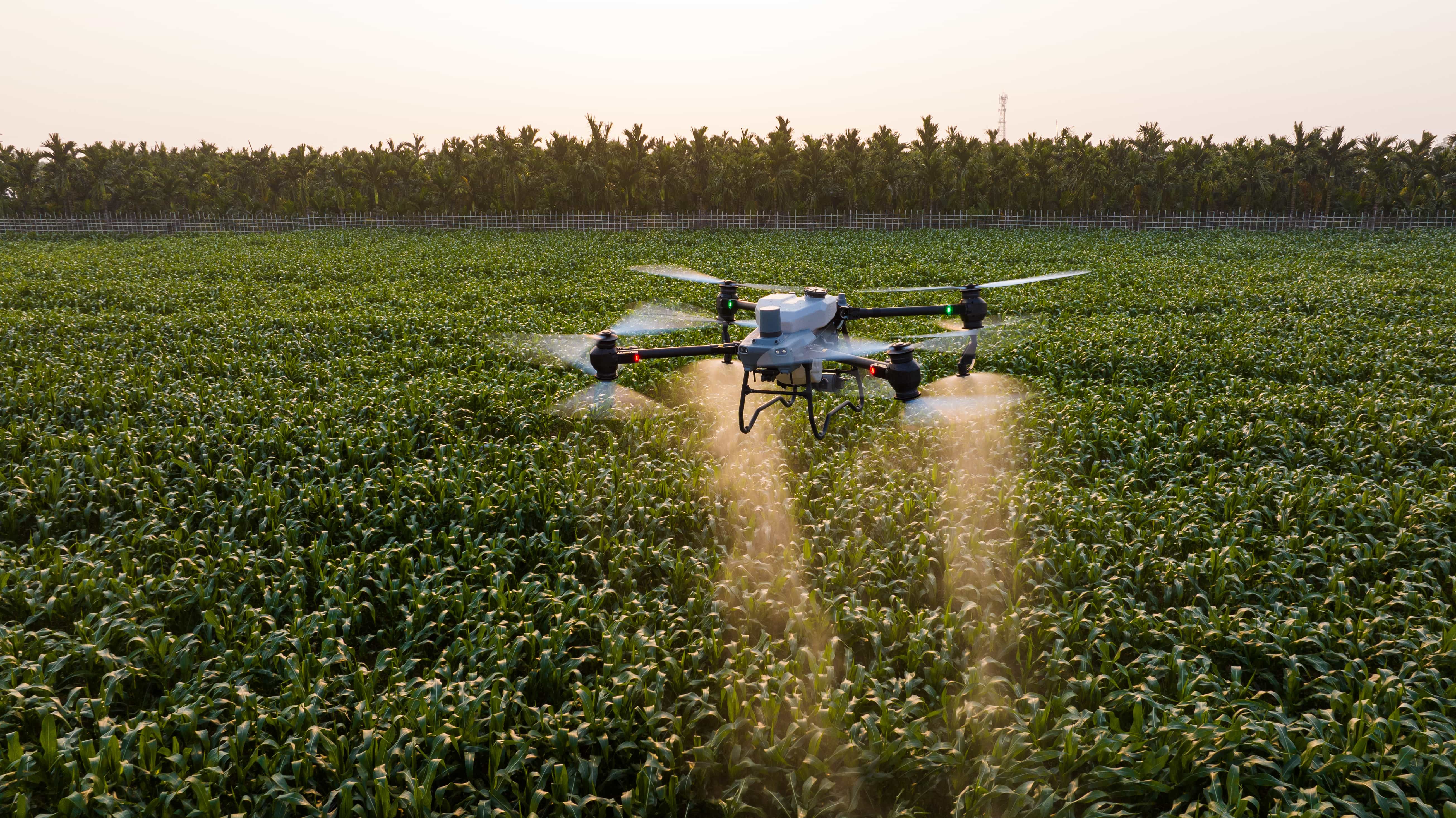 Transmisi Drone Pertanian DJI Agras T50