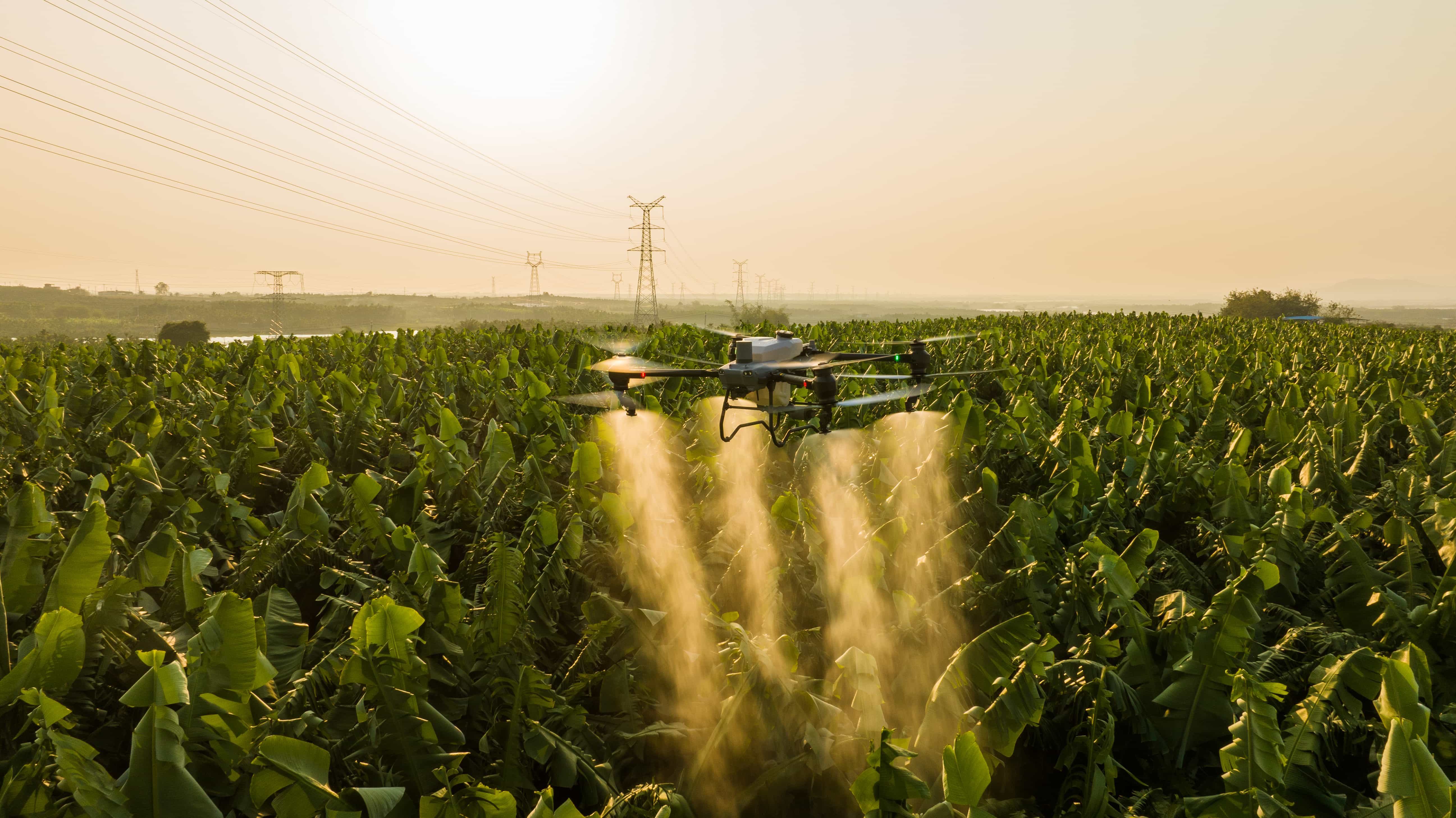Drone Pertanian DJI Agras T25 dan T50 Fast Charging